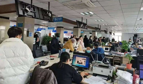 物聯(lián)賦能，網(wǎng)通民心 智慧服務(wù)讓群眾辦事更便捷